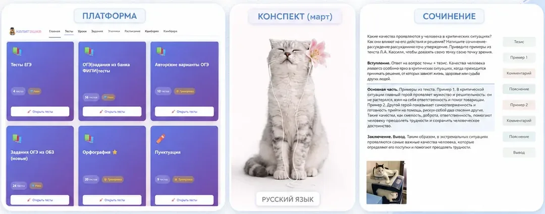 Примеры тестов, конспектов и проверенного сочинения на учебной платформе