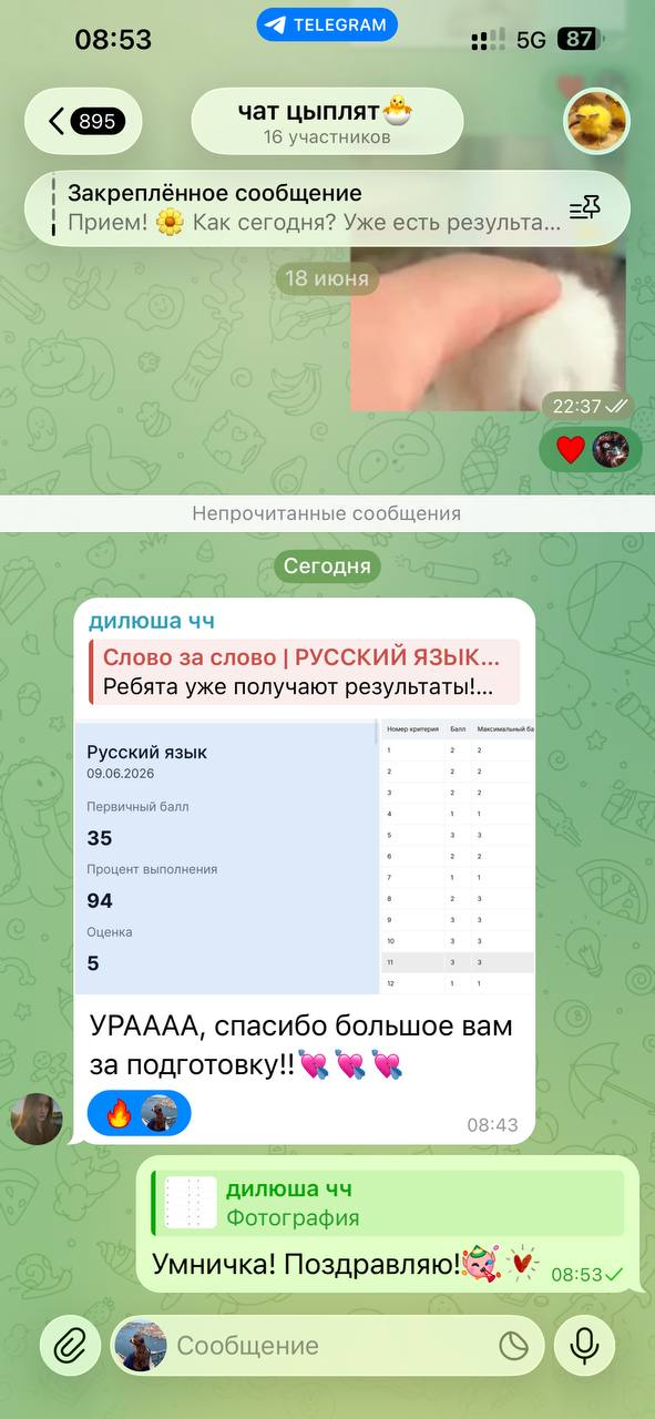 Результат по русскому языку — 35 баллов, 94 процента и оценка пять
