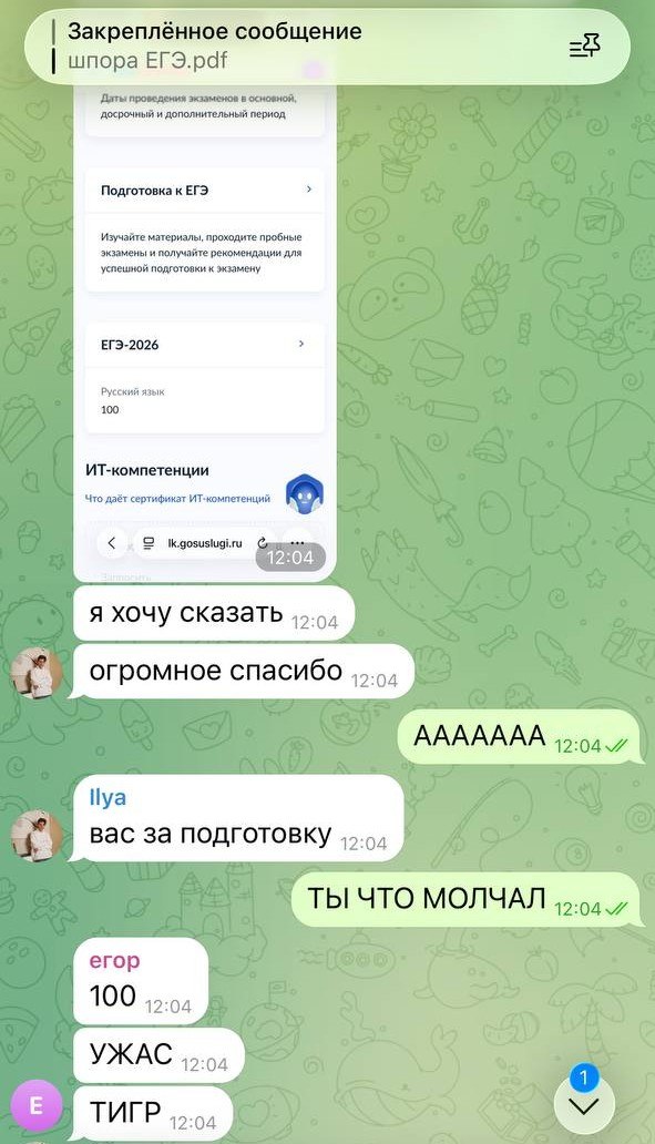 Ученица получила сто баллов за ЕГЭ и благодарит за подготовку