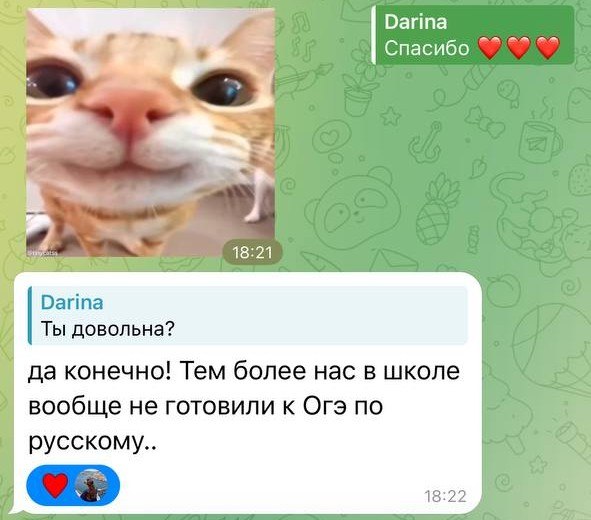 Ученица довольна результатом и отмечает, что в школе к ОГЭ не готовили